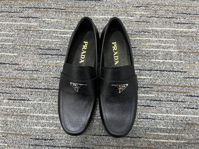goanywhere Pra*a loafer 3330